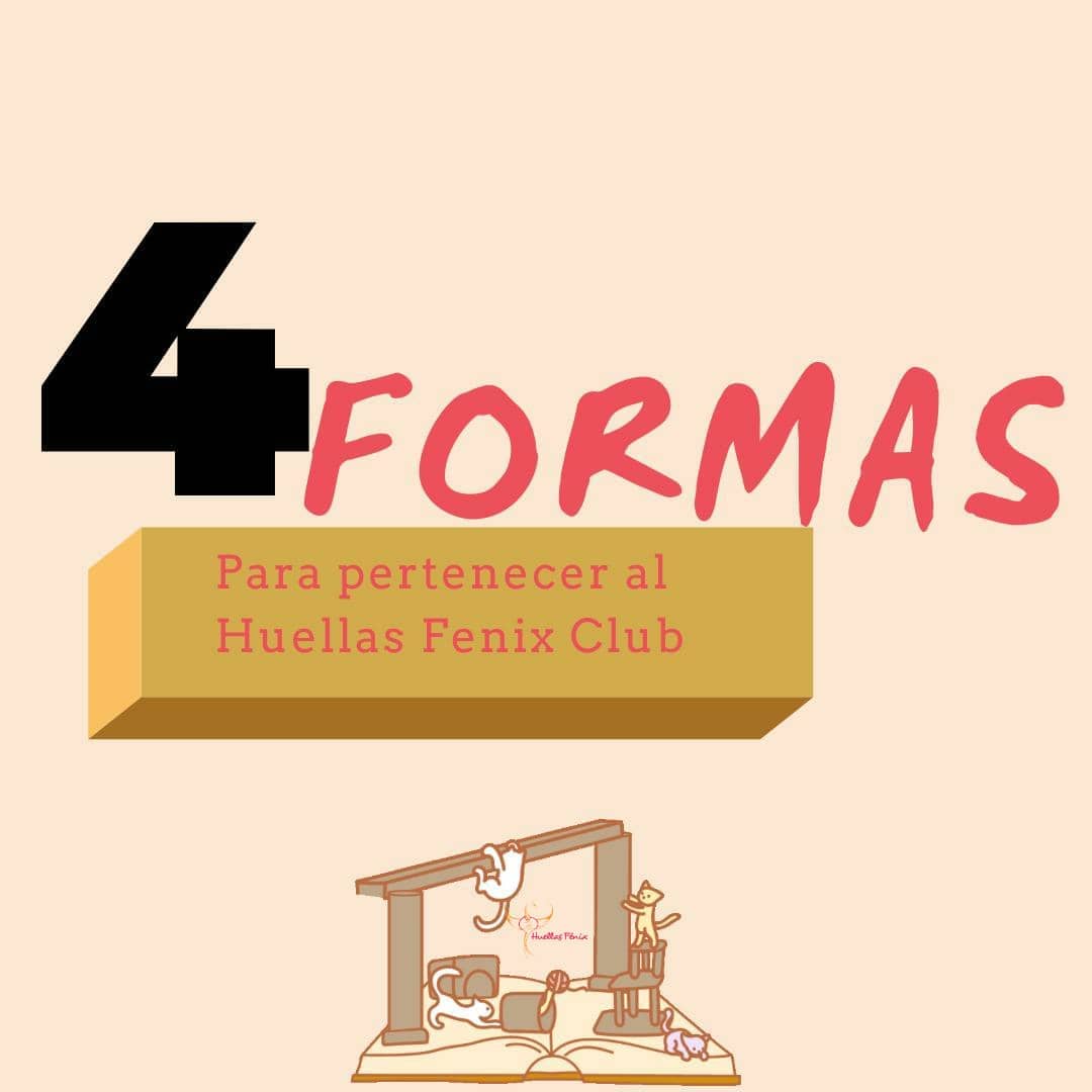 4 formas de pertenecer al Huellas Fénix club